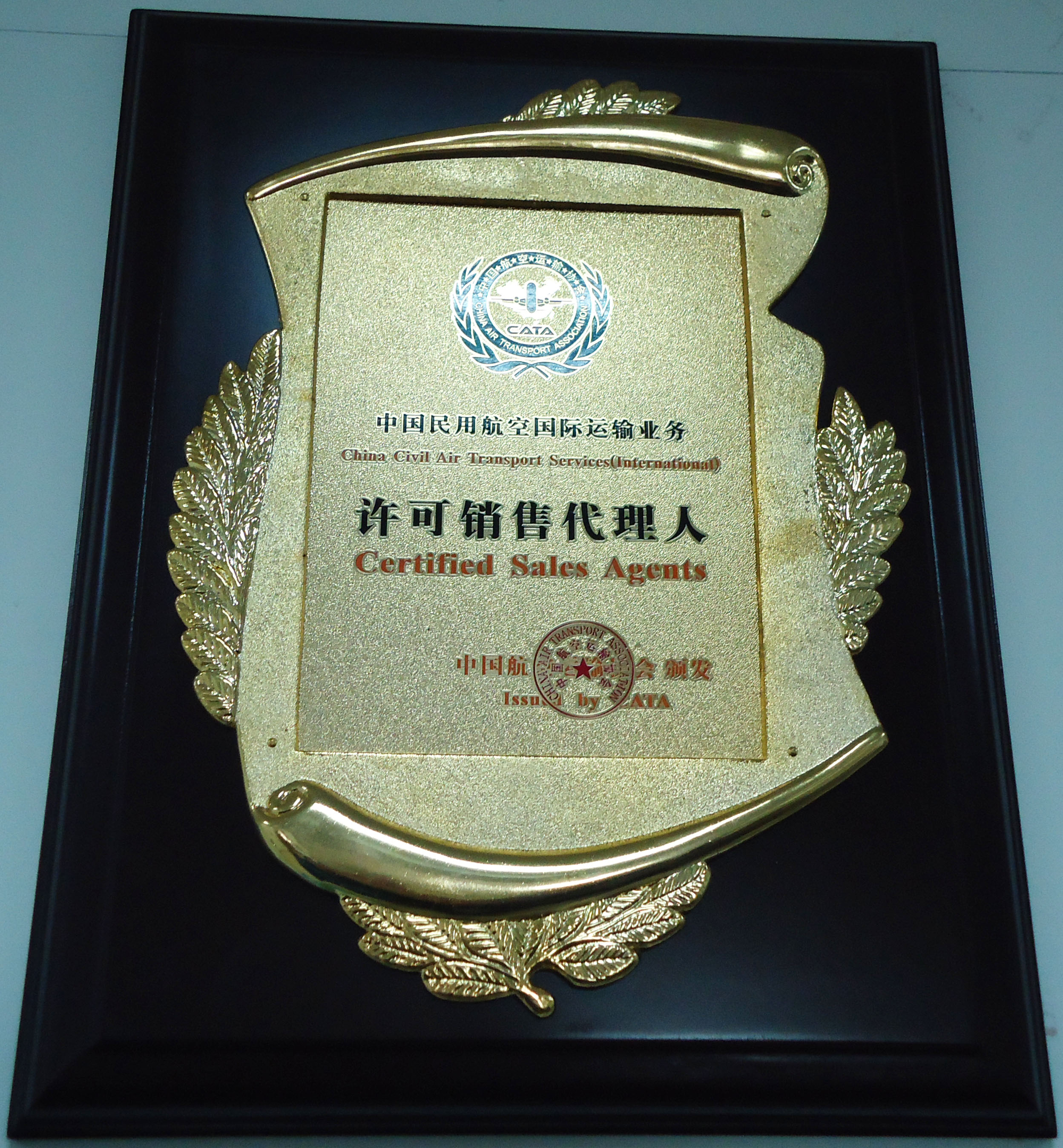 中國民用航空國際運輸業(yè)務(wù)---許可銷售代理人 中國民用航空國際運輸業(yè)務(wù)---許可銷售代理人